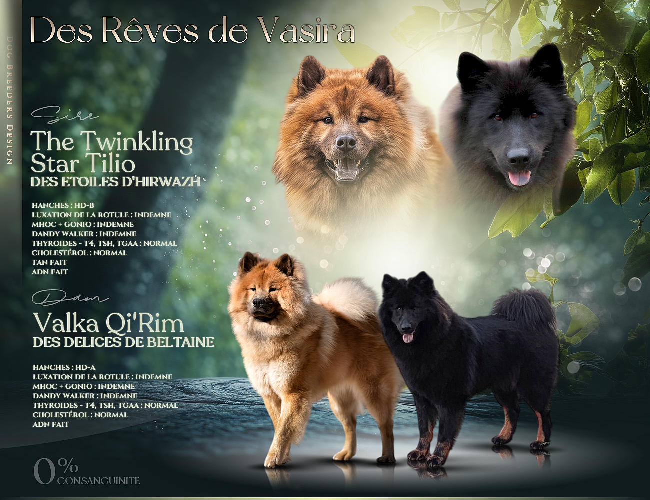 Bébés pour fin avril